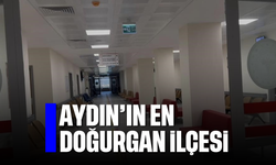 Aydın'ın doğurgan ilçesi