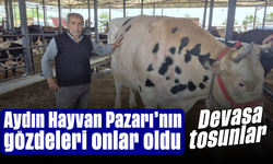 Aydın Hayvan Pazarı’nın gözdeleri onlar oldu: Devasa tosunlar