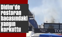 Didim'de restoran bacasındaki yangın korkuttu