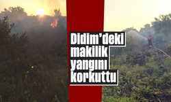 Didim'deki makilik yangını korkuttu