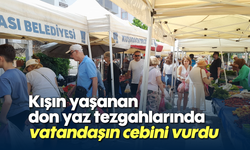 Kışın yaşanan don yaz tezgahlarında vatandaşın cebini vurdu