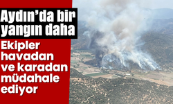Aydın'da bir yangın daha: Ekipler havadan ve karadan müdahale ediyor