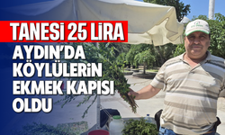Aydın'da köylülerin ekmek kapısı oldu