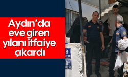 Aydın’da eve giren yılanı itfaiye çıkardı