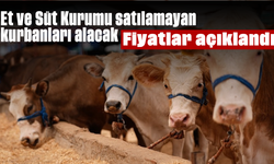 Et ve Süt Kurumu satılamayan kurbanları alacak! Fiyatlar açıklandı