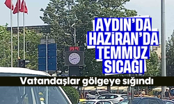 Aydın yanıyor: Vatandaşlar gölgeye sığındı
