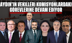 Aydın'ın vekilleri komisyonlardaki görevlerine devam ediyor
