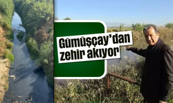 Gümüşçay zehir akıyor