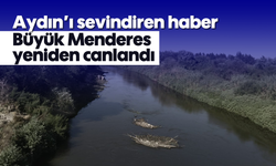 Aydın'ı sevindiren haber: Büyük Menderes yeniden canlandı