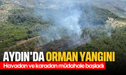 Aydın'da orman yangını: Havadan ve karadan müdahale başladı