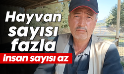 Hayvan sayısı fazla insan sayısı az