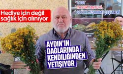 Aydın'ın dağlarında kendiliğinden yetişiyor: Hediye için değil sağlık için alınıyor