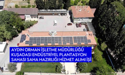 Aydın Orman İşletme Müdürlüğü Kuşadası Endüstriyel Plantasyon Sahası Saha Hazırlığı Hizmet Alımı İşi