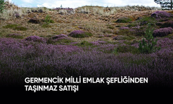 Germencik Milli Emlak Şefliğinden Taşınmaz Satışı