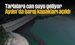 Tarlalara can suyu geliyor: Aydın'da baraj kapakları açıldı
