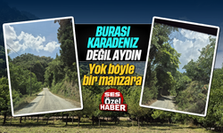 Burası Karadeniz değil Aydın: Yok böyle bir manzara