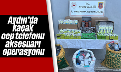 Aydın’da kaçak cep telefonu aksesuarı operasyonu