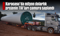 Karacasu'da milyon dolarlık projenin TIR'ları çamura saplandı