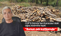 CHP'li Gümüş'ten Karacasu'daki ağaç kesimine tepki