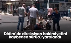 Didim'de direksiyon hakimiyetini kaybeden sürücü yaralandı