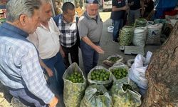 Köşk’te ilek pazarında denetim gerçekleştirildi