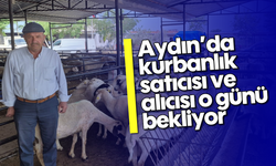 Aydın'da kurbanlık satıcısı ve alıcısı o günü bekliyor
