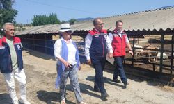 Kuşadası'nda “Hastalıktan Ari İşletme Belgesi”nin adresi değişmedi