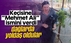 Keçisine “Mehmet Ali” ismini verdi, dağlarda yoldaş oldular