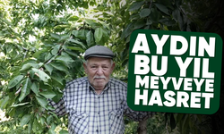 Aydın, bu yıl meyveye hasret
