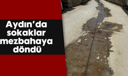 Aydın’da sokaklar mezbahaya döndü
