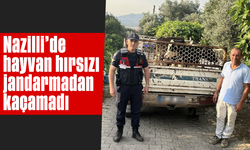 Nazilli'de hayvan hırsızı, jandarmadan kaçamadı