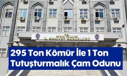 295 Ton Kömür İle 1 Ton Tutuşturmalık Çam Odunu