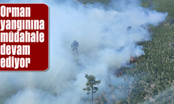 Orman yangınına müdahale devam ediyor