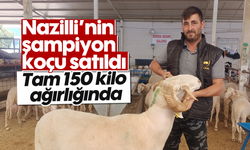 Nazilli’nin şampiyon koçu satıldı: Tam 150 kilo ağırlığında