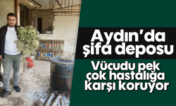 Aydın'da şifa deposu: Vücudu pek  çok hastalığa  karşı koruyor