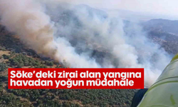 Söke’deki zirai alan yangına havadan yoğun müdahale