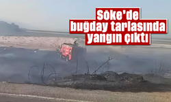 Söke’de buğday tarlasında yangın çıktı