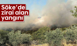 Söke’de zirai alan yangını
