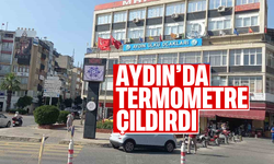 Aydın'da termometre çıldırdı