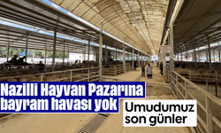 Nazilli Hayvan Pazarına bayram havası yok, "Umudumuz son günler"