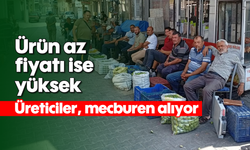 Ürün az, fiyatı ise yüksek: Üreticiler, mecburen alıyor