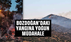 Bozdoğan'daki yangına yoğun müdahale