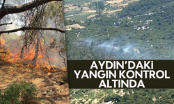 Aydın’daki orman yangını kontrol altına alındı
