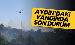 Vali Canbolat'tan açıklama: Aydın'daki yangında son durum