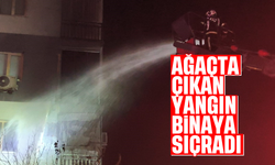 Ağaçta çıkan yangın binaya sıçradı