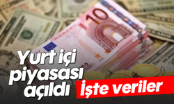 Yurt içi piyasası açıldı: İşte veriler