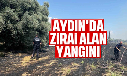 Aydın'da zirai alan yangını