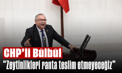 CHP'li Bülbül, "Zeytinlikleri, ranta teslim etmeyeceğiz"