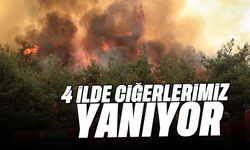 4 ilde ciğerlerimiz yanıyor