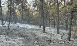 Orman yangını kısmen kontrol altına alındı